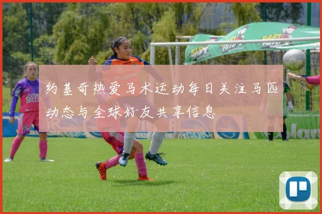 约基奇热爱马术运动每日关注马匹动态与全球好友共享信息